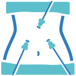 Operacion de vesicula en tijuana